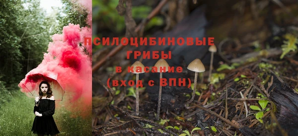 гидра Алзамай