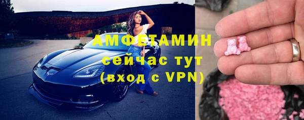 МДПВ Пересвет